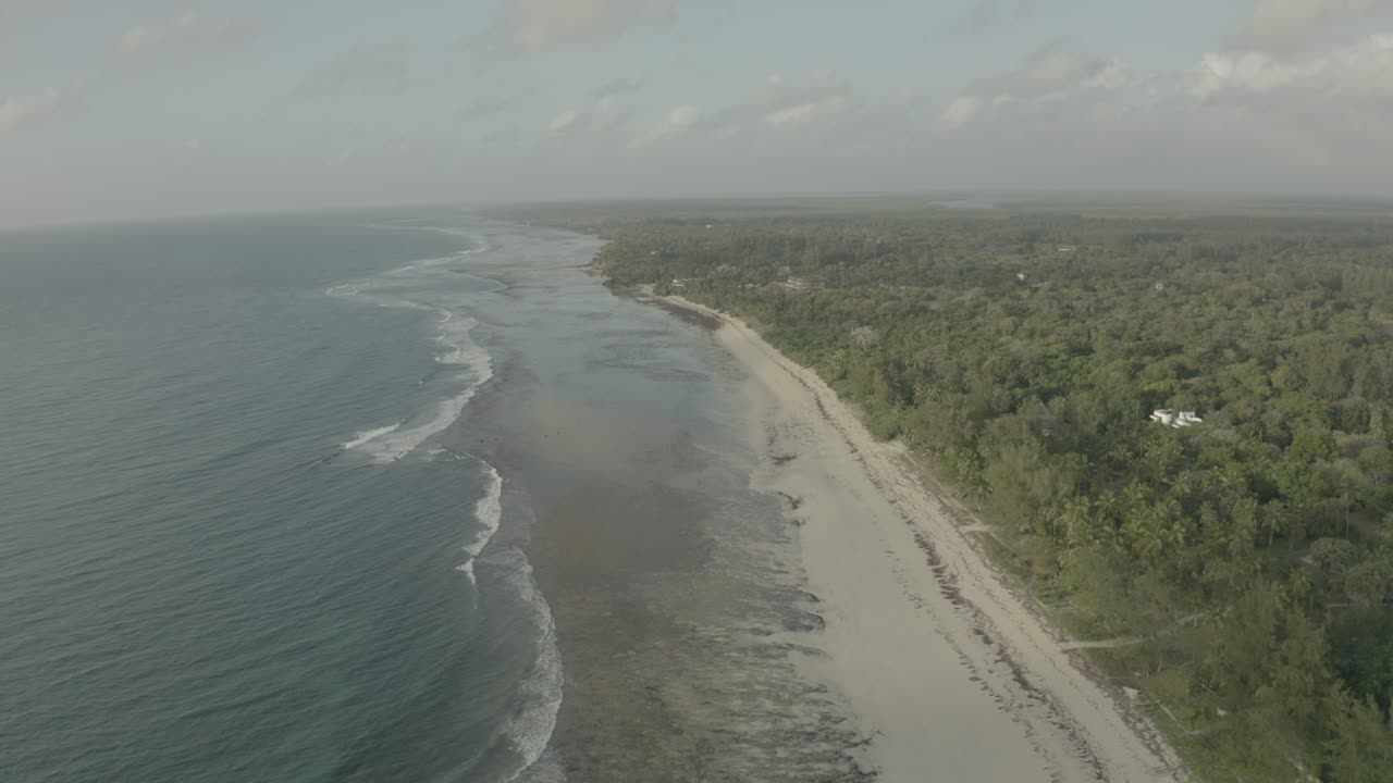 Coastline & Palm Belt — Coastal Run