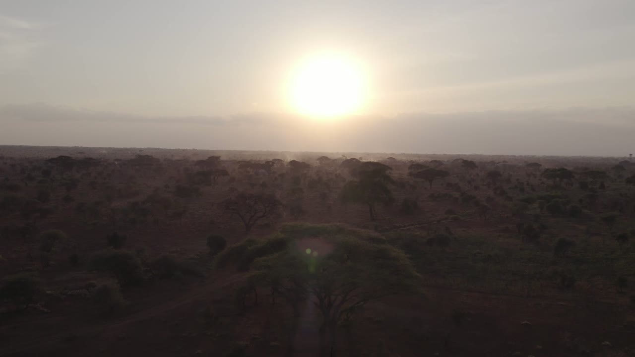 Amboseli Sunrise — Wide Panorama