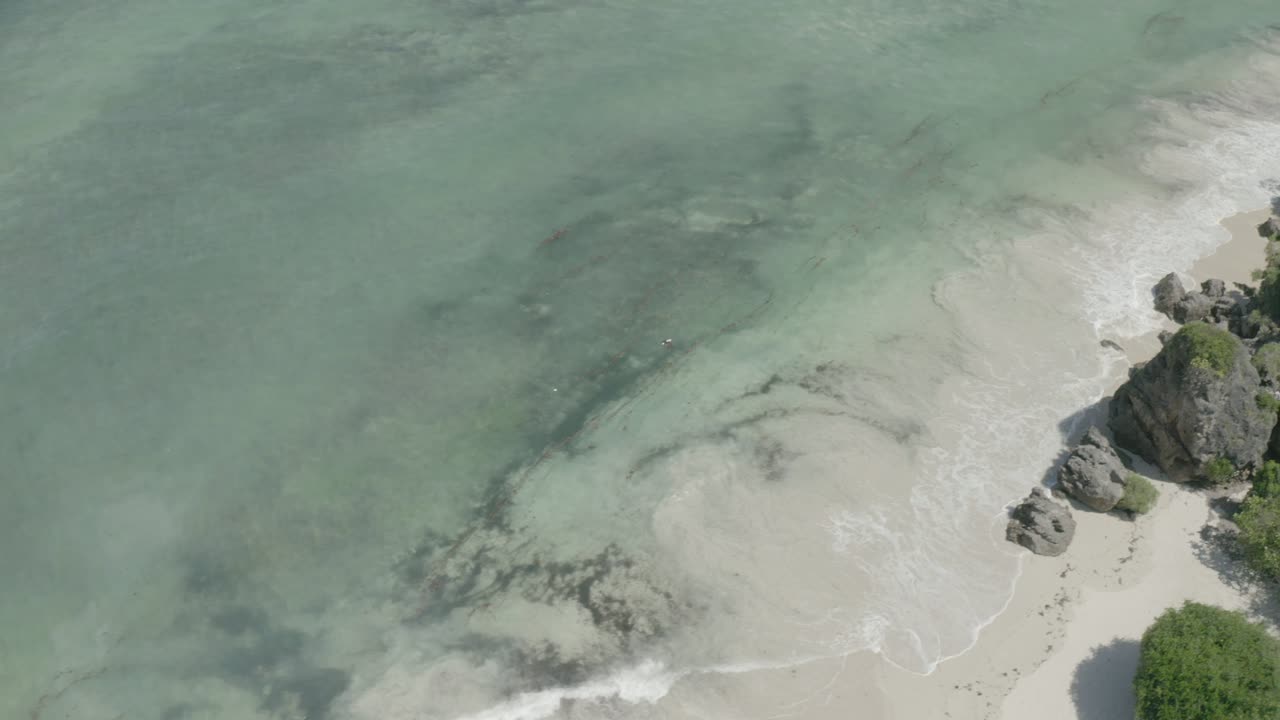 Reef Shallows & Coral Heads — Top Down
